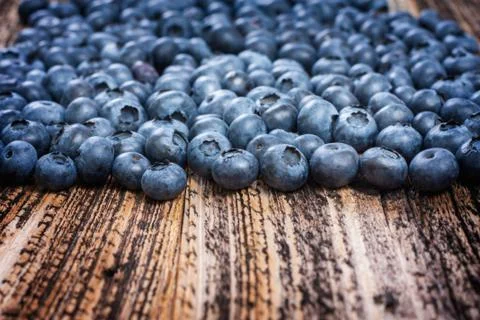 Blueberries Stock Photos