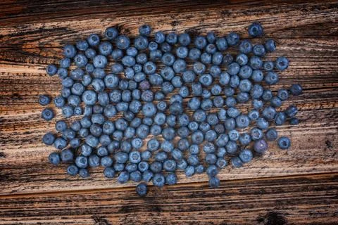 Blueberries Stock Photos