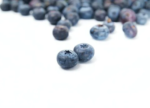 Blueberries Stock Photos