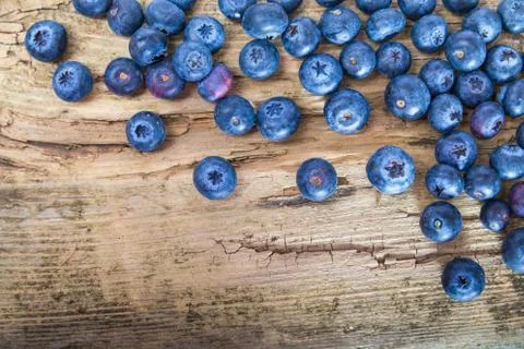 Blueberries Stock Photos