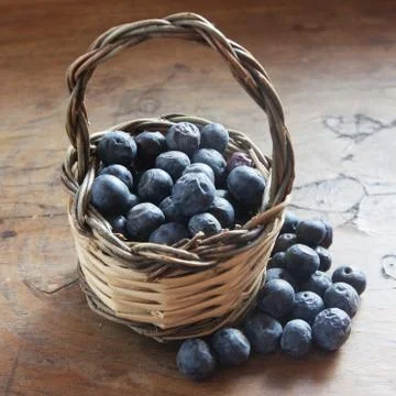 Blueberries Foto stock