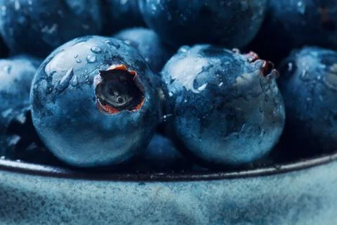 Blueberries Stock Photos