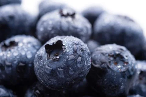 Blueberries Stock Photos