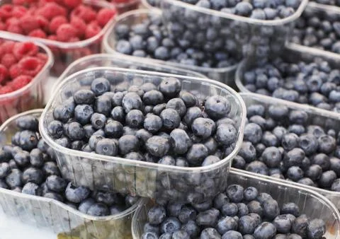 Blueberries Stock Photos