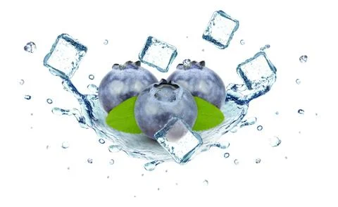 Blueberries Stock Photos