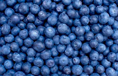 Blueberries Stock Photos