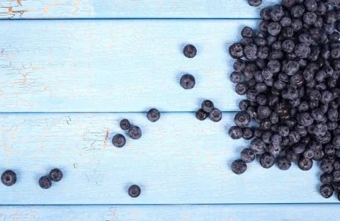 Blueberries Stock Photos
