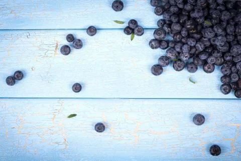 Blueberries Stock Photos