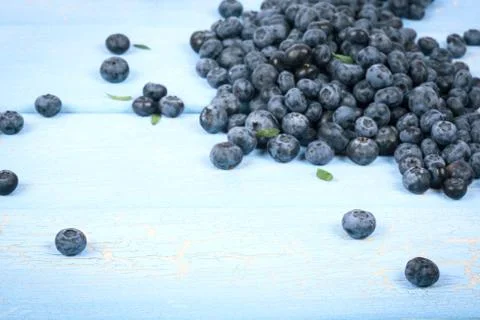 Blueberries Stock Photos
