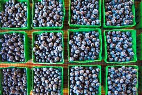 Blueberries Stock Photos