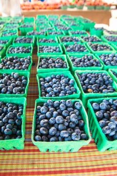Blueberries Stock Photos