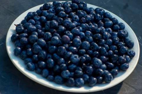 Blueberries Stock Photos