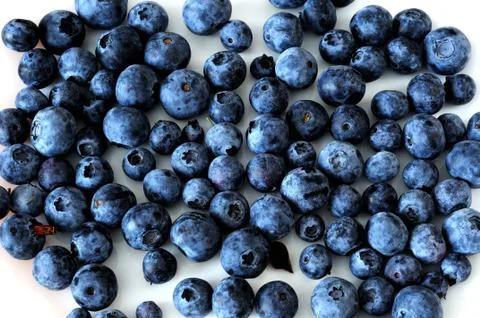 Blueberries Stock Photos