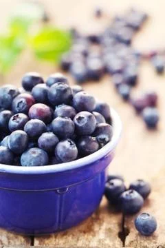 Blueberries Stock Photos