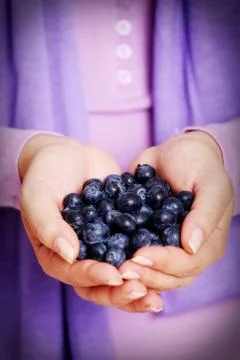 Blueberries Stock Photos