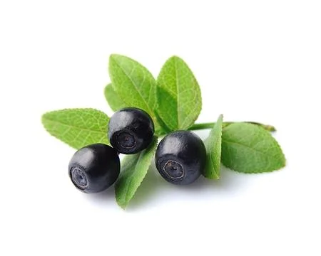 Blueberries Stock Photos