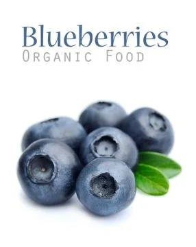 Blueberries. Stock Photos