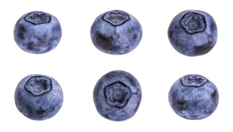 Blueberries Stock Photos