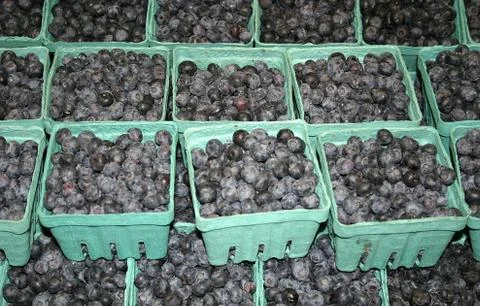 Blueberries Stock Photos