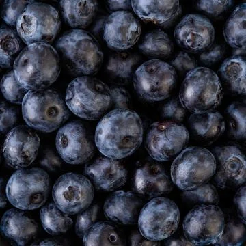 Blueberries Stock Photos