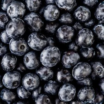 Blueberries Stock Photos
