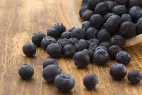 Blueberries Stock Photos