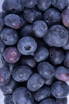 Blueberries. Stock Photos