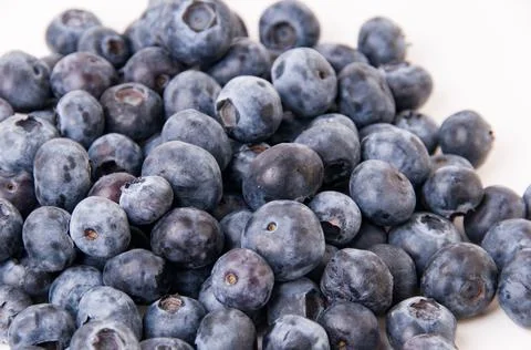 Blueberries Stock Photos