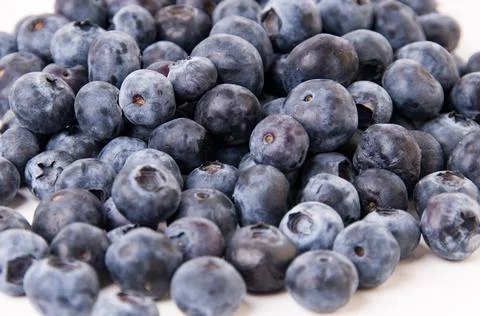 Blueberries Stock Photos