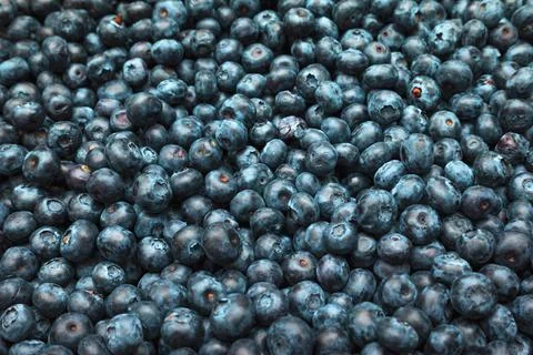 Blueberries Stock Photos