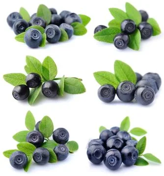 Blueberries Stock Photos