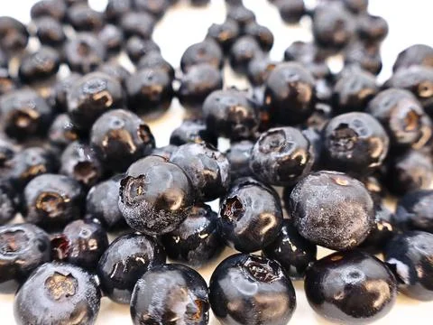 Blueberries Stock Photos