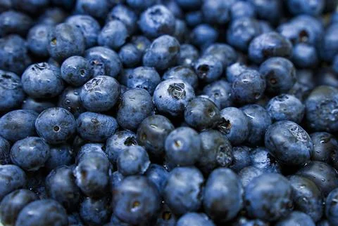 Blueberries Stock Photos