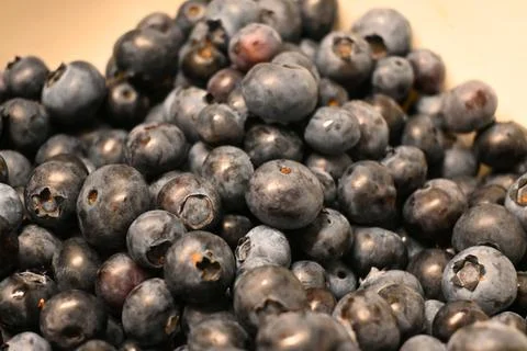 Blueberries piled together Fotos Stock