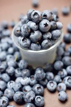 Blueberries with plastic beaker Stock Photos