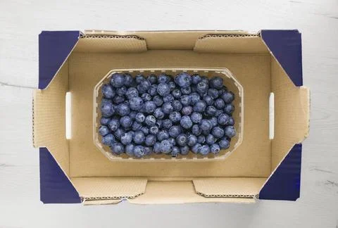 Blueberries in plastic container inside cardboard box on white background Fotos de archivo