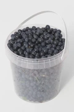 Blueberries in a plastic container Stock Photos