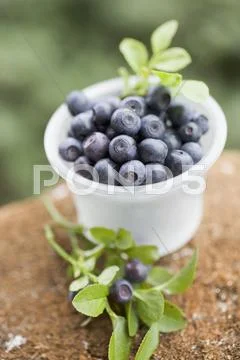 Blueberries in plastic tub Stock Photos
