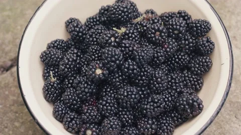 Blueberries ripe on a plate. 스톡 동영상 160042536