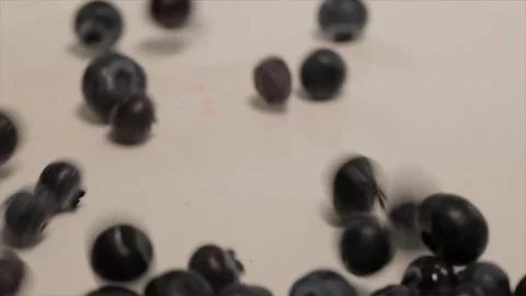 Blueberries Rolling Down a White Board Closeup Stock Footage 99137994