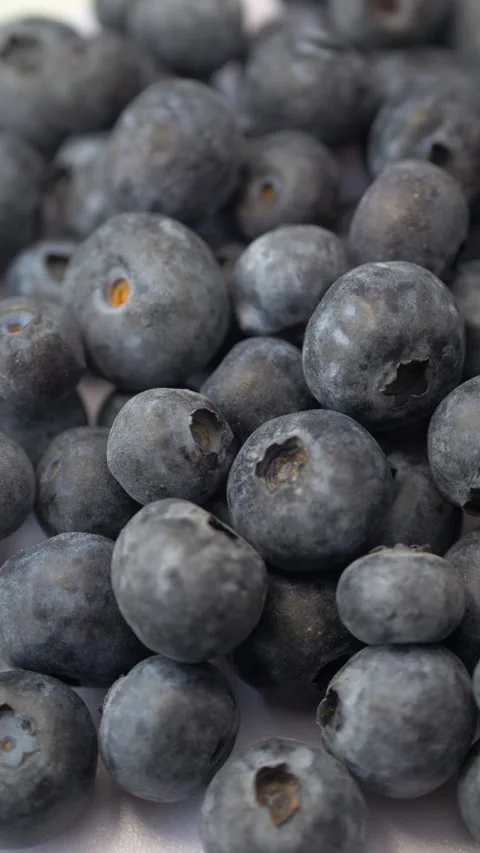 Blueberries rotating on clean background represent antioxidant rich superfood Stock-Footage 333114772