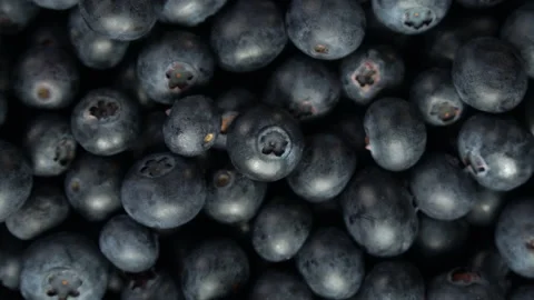 Blueberries rotating loop fresh produce fruit blue mid overhead view light Stock Footage 138783956