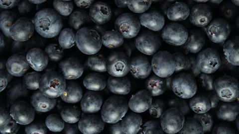 Blueberries rotating loop fresh produce fruit blue overhead Stock Footage 138783972