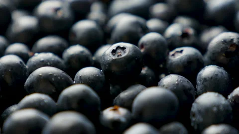 Blueberries rotating loop fresh produce fruit blue close up centre focus Stock Footage 138785314
