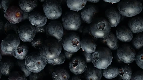Blueberries rotating loop fresh produce fruit blue overhead shot centre focus Stock Footage 138788993