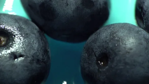 Blueberries Rotating Macro Closeup Stock Footage 112755468