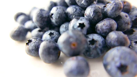 Blueberries Rotating on White Background Video stock 62024585