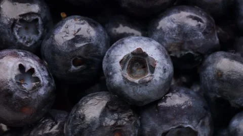 Blueberries, rotation in circle. Blueberry Video stock 235925152
