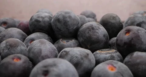 Blueberries - Rotation Close Up Video stock 151232227