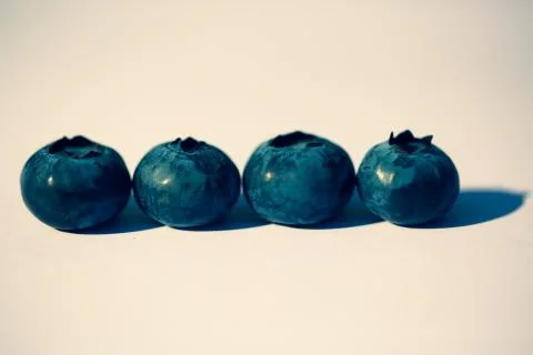 Blueberries in a row Stock Photos
